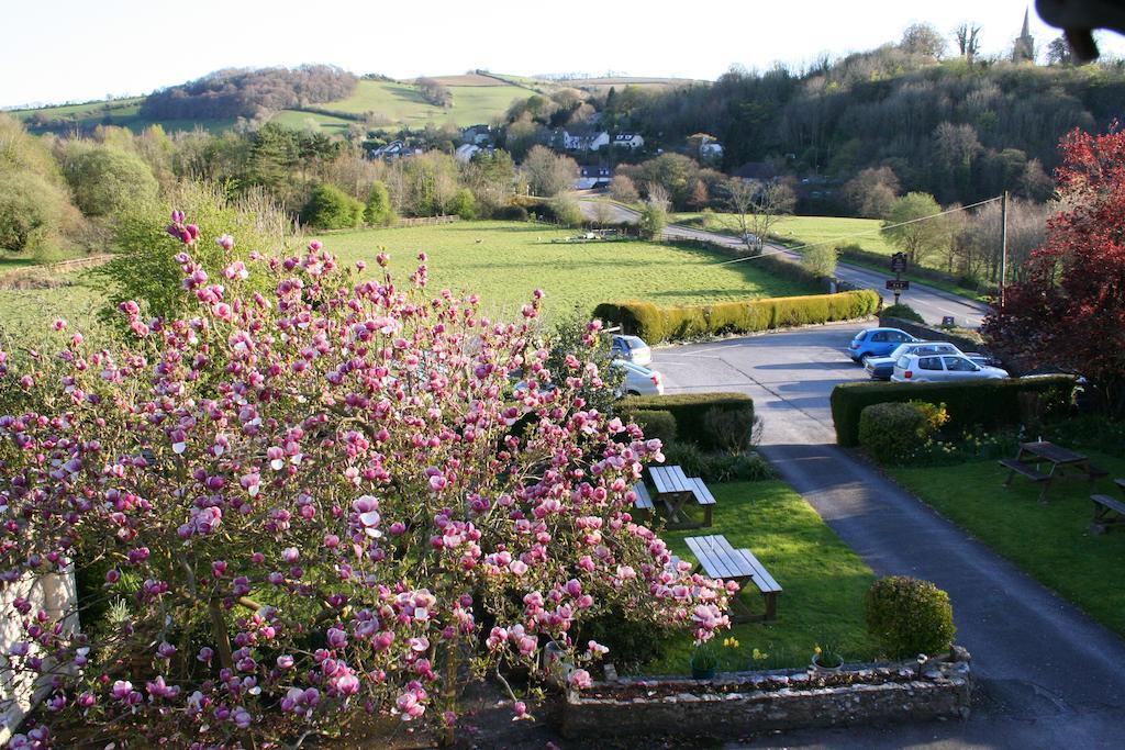 Hotel Furzeleigh Mill Buckfastleigh Zewnętrze zdjęcie
