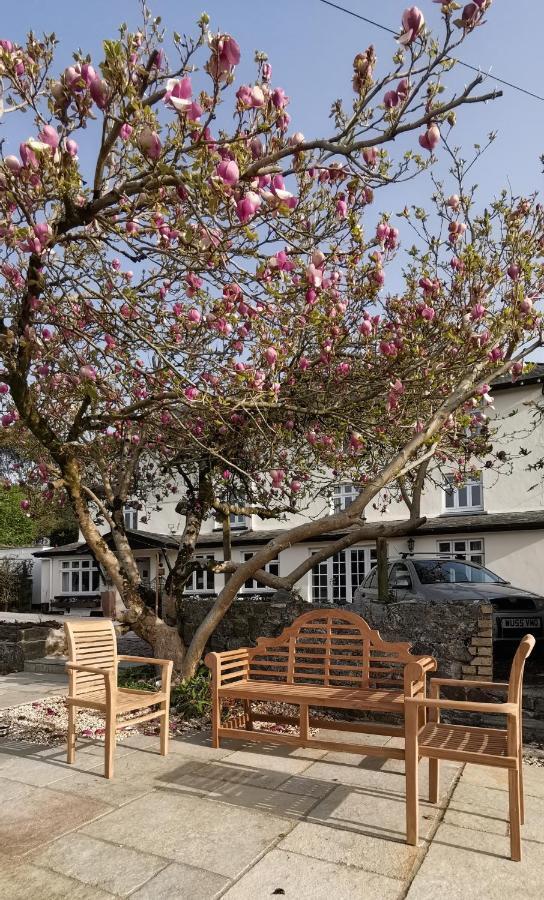 Hotel Furzeleigh Mill Buckfastleigh Zewnętrze zdjęcie
